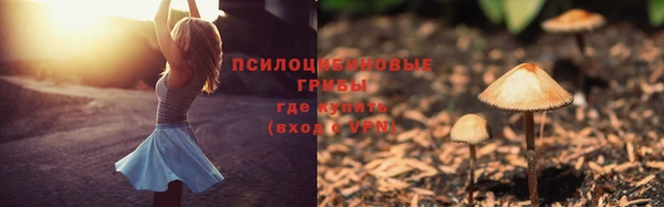 PSILOCYBIN Алексин