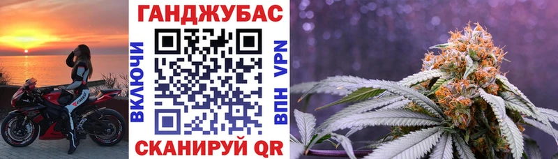 МЕГА tor  купить   Жиздра  Канабис VHQ 